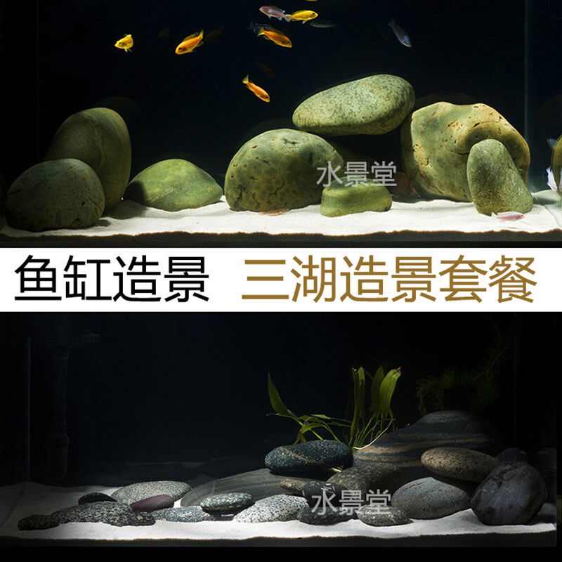 鹅卵石三湖慈鲷鱼缸造景t装饰品套餐草坪石子水草鱼缸装饰桌面