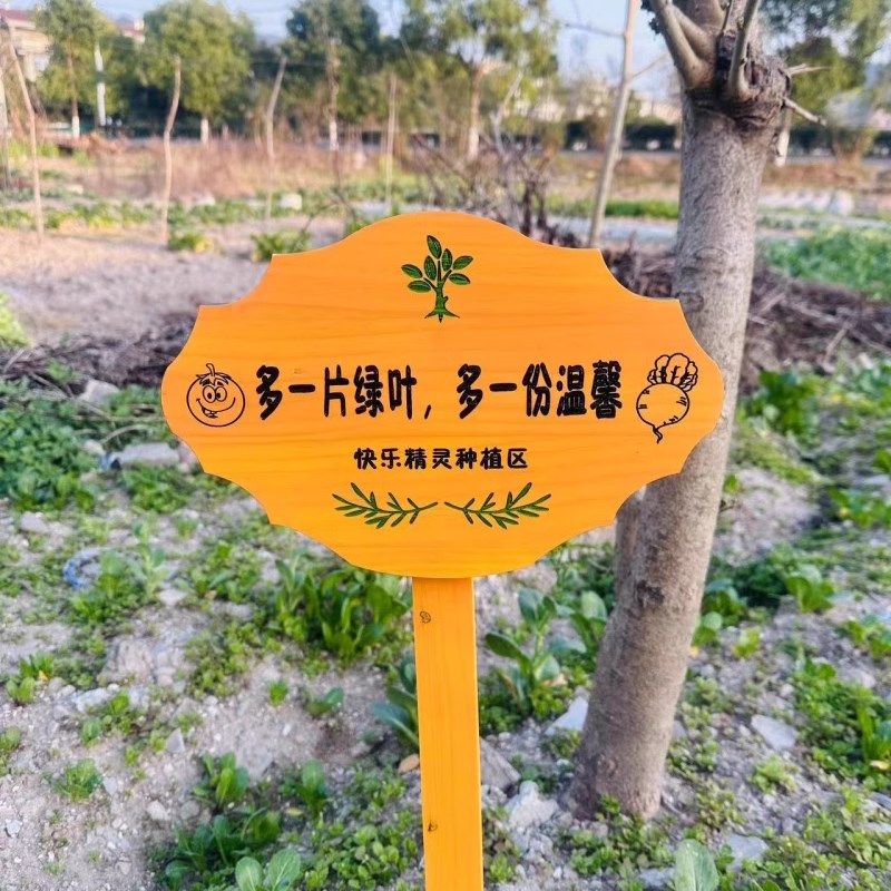 实木植物标签牌菜园幼儿园木质插地牌F户外指示标识牌告示木牌园图片