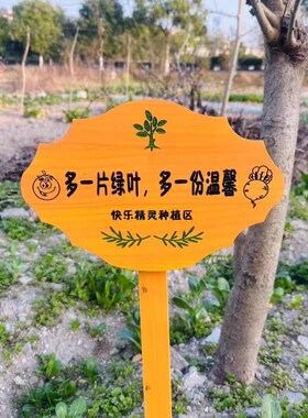 实木植物标签牌菜园幼儿园木质插地牌F户外指示标识牌告示木牌园