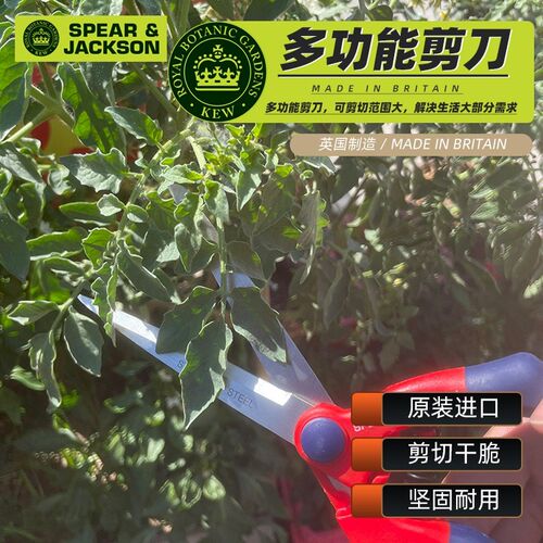 英国进口SPEAR & JACKSON园艺修枝剪多功能树枝剪刀采摘神器修花