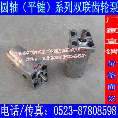 CBWL-E316/E316-AFPL双联高压齿轮油泵CBNL 2CBN FHC ALPL FHR