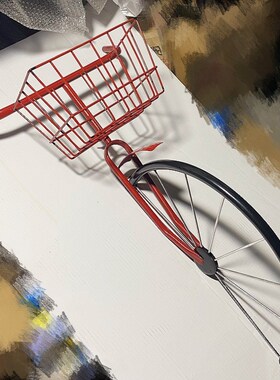 自行车铁艺花架挂墙花园装饰挂件J庭院露台阳台布置壁挂