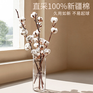 100支四件套单人双人纯色全棉三件套保暖床品套X件秋冬季床单