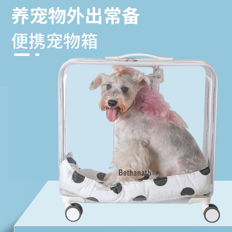户外旅行a泡泡箱宠物拉杆箱外出便携透明猫咪行李箱透气太空舱猫