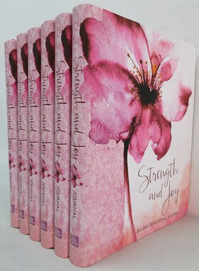 休闲家居英文真书 外文可翻阅装饰真书 样板房酒店书柜摆件