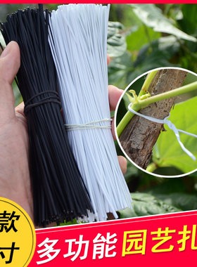 包塑扎线家庭园艺园林植物扎丝 DIY花木扎线铁丝绑线铁芯扎带12cm