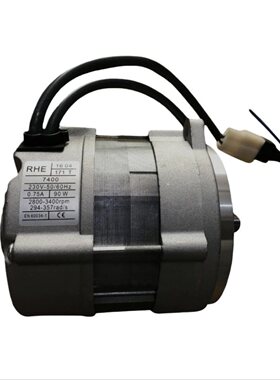 40FS5 FS10 电机  FS20 燃烧器机马达 RIELLO利雅路171T 172T电机