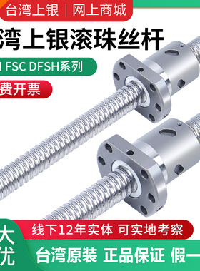 台湾上银滚珠丝杠丝杆螺母套装滑台模组FSI FSC DFSH 12 16 20 25