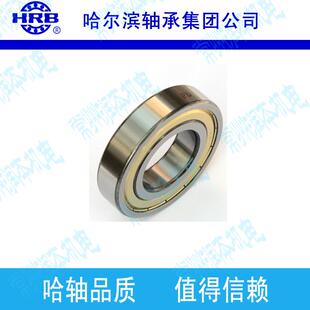 6213 外径120mm D级哈尔滨深沟球轴承内径65mm 厚23m HRB