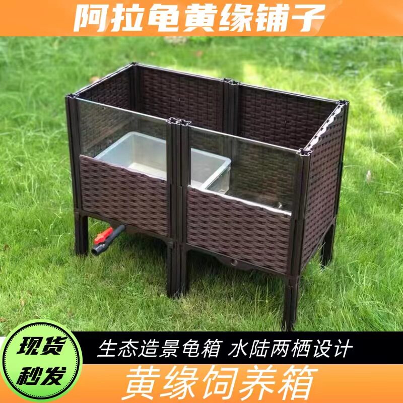 黄缘龟专用箱养殖箱闭壳龟生态饲养箱安缘饲养环境植物造景黄缘龟