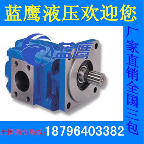 P5100-F63 F80 F100齿轮油泵M5100-F63 F80 F100齿轮马达泊姆克型