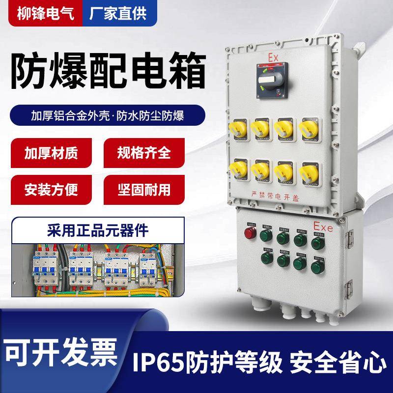 防爆配电箱照明控制电源箱接线检修箱仪表开关插座箱动力柜空箱
