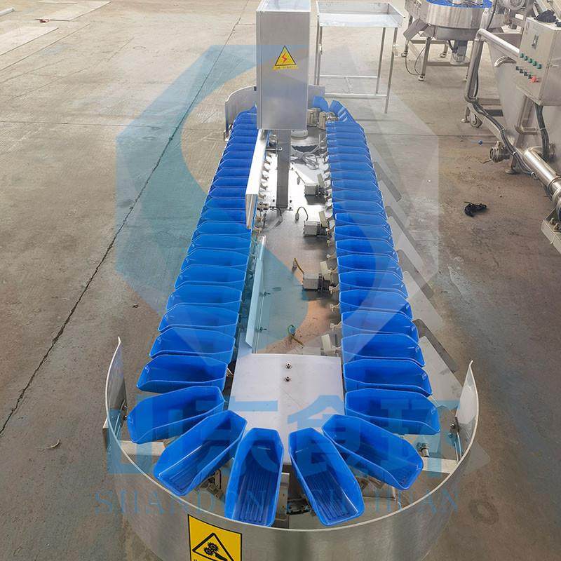 鱼类白条鸡重量分选机猪蹄重量分选机海鲜重量分拣机设备厂家,清洗/食品/商业设备,其他食品加工设备,淘宝优惠券,粉丝福利购,淘宝优惠卷