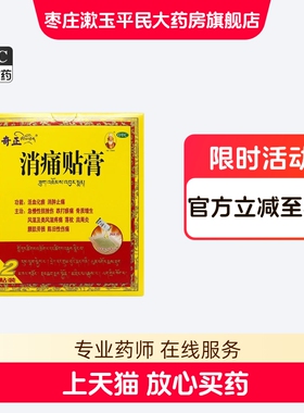 消痛贴膏/奇正1.0g*2贴（润湿剂每袋装2.0ml）