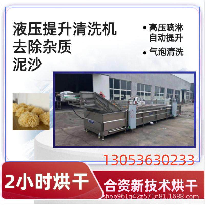 全自动喷淋式蓝莓气泡清洗机 余甘子气泡清洗机 不锈钢果蔬清洗机