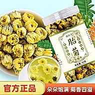 精选胎菊特优级罐装40g