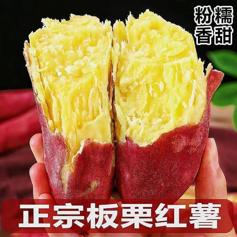 【一分利鲜生】陕西板栗红薯净重5斤现挖现发干面甜无丝无筋辅食