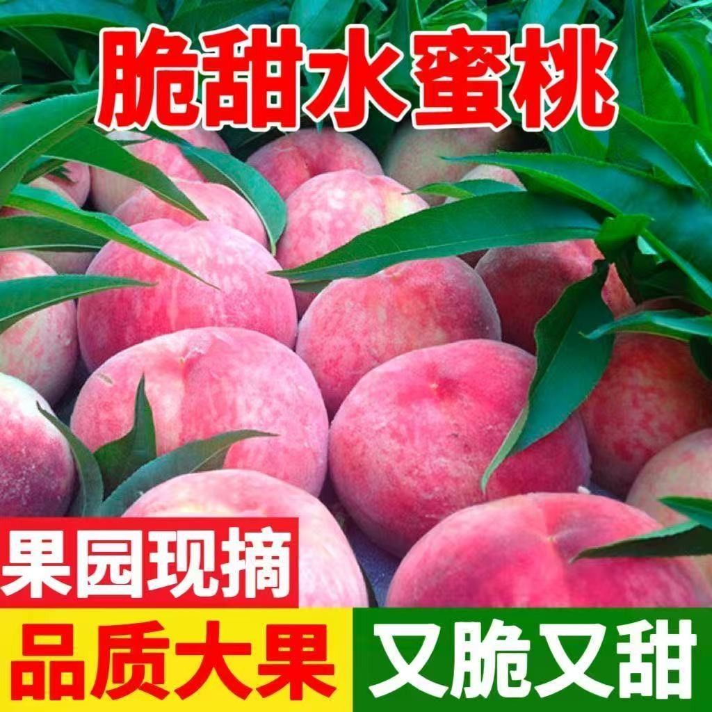 【霸王脆桃】山西露天霸王脆桃头茬新鲜水蜜桃鲜甜多汁应季水果