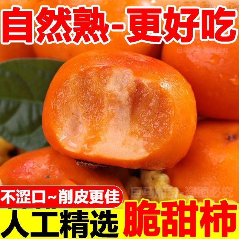 【彩箱】正宗山西阳丰脆柿新鲜应季甜柿巧克力脆柿净重4.5斤