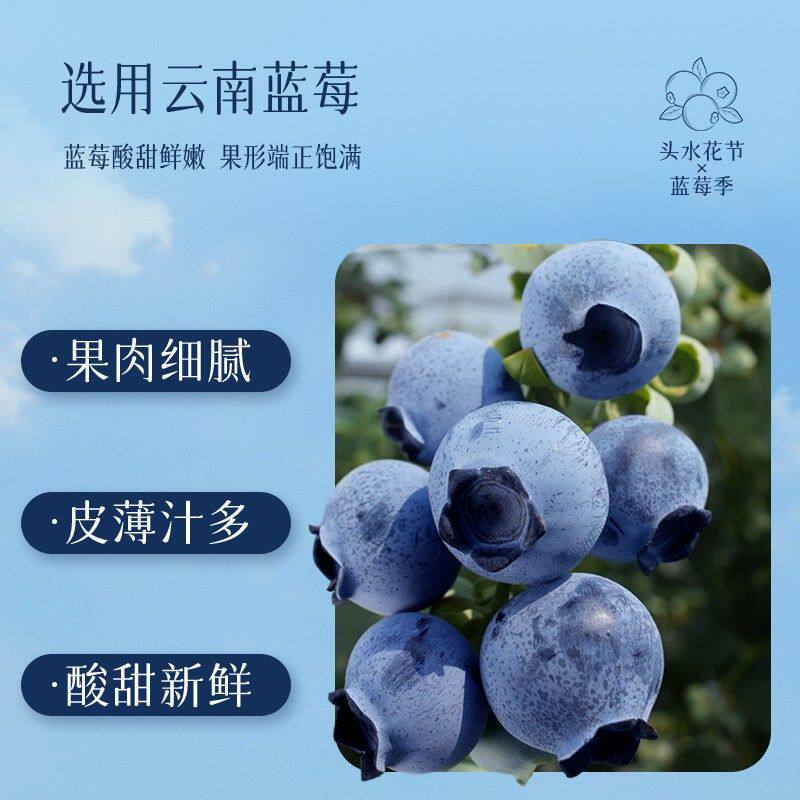 【潘祥记】蓝莓鲜花饼新品尝鲜糕点饼干面包早餐云南特色