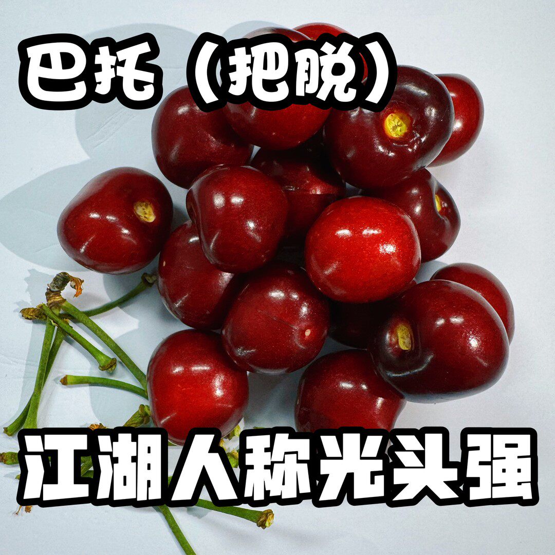 大连大樱桃【巴托】又名光头强露车厘子/樱桃