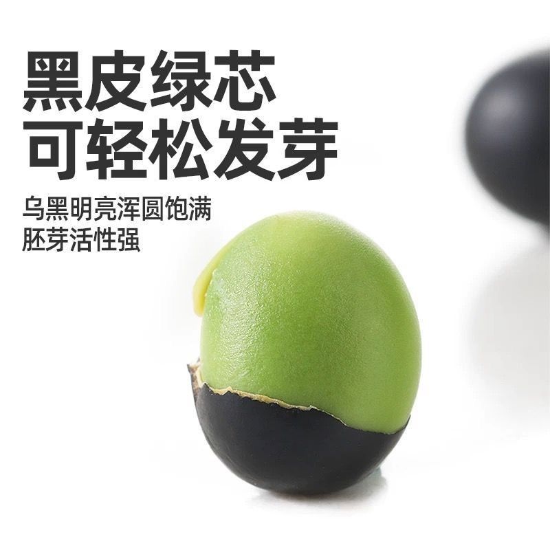 【25年新粮】东北绿芯黑豆 打豆浆专用可发芽 黑土地种植 可试吃