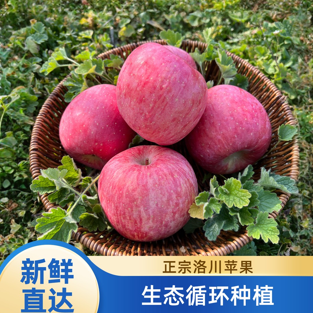 陕西延安洛川苹果5/10斤红富士苹果水果脆甜多汁