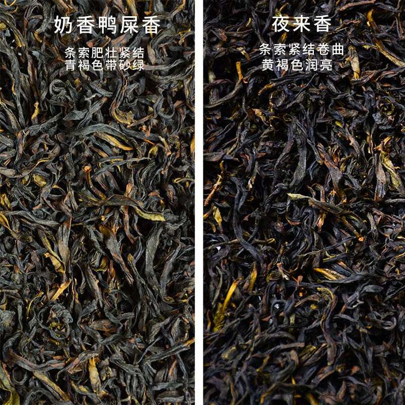 【奶香鸭屎香&老丛夜来香】潮州核心产区凤凰单丛广东乌龙茶SF-2