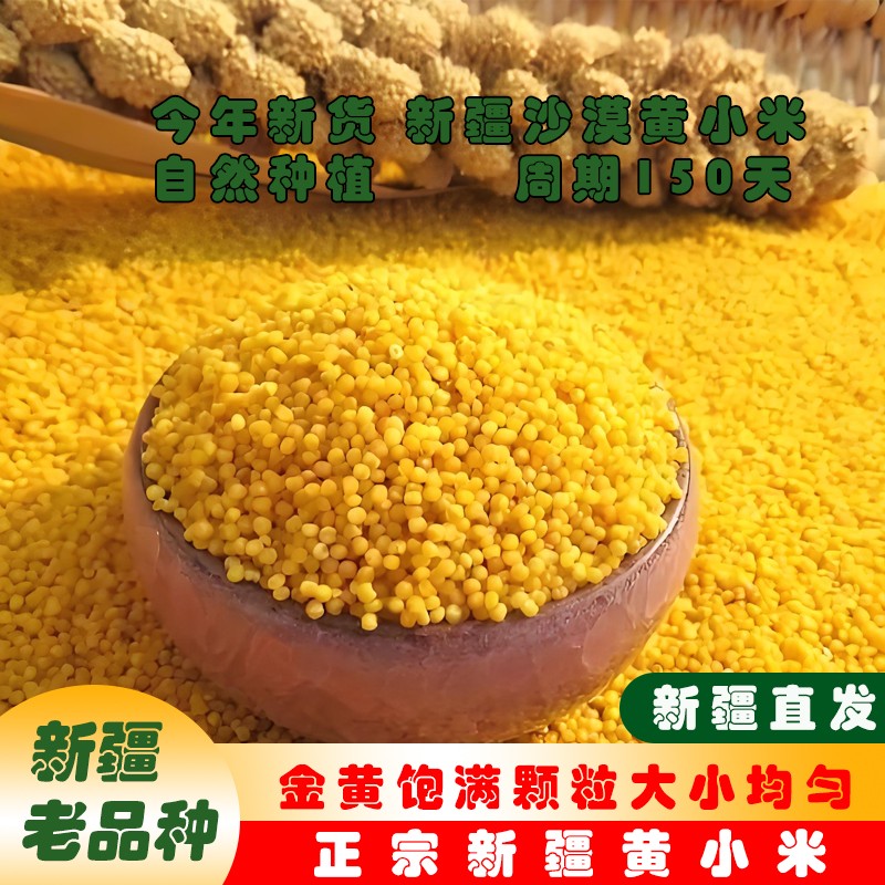 疆滋趣新疆25年新米黄小米煮粥小米粥月子米杂粮粗粮沙漠小米杂粮