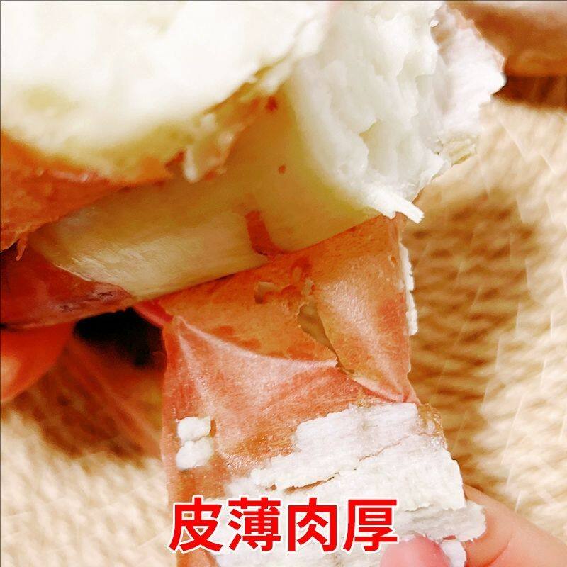 哈密冰糖蜜薯软糯香甜老品种沙地白心蜜薯红薯超甜番山芋地瓜5斤