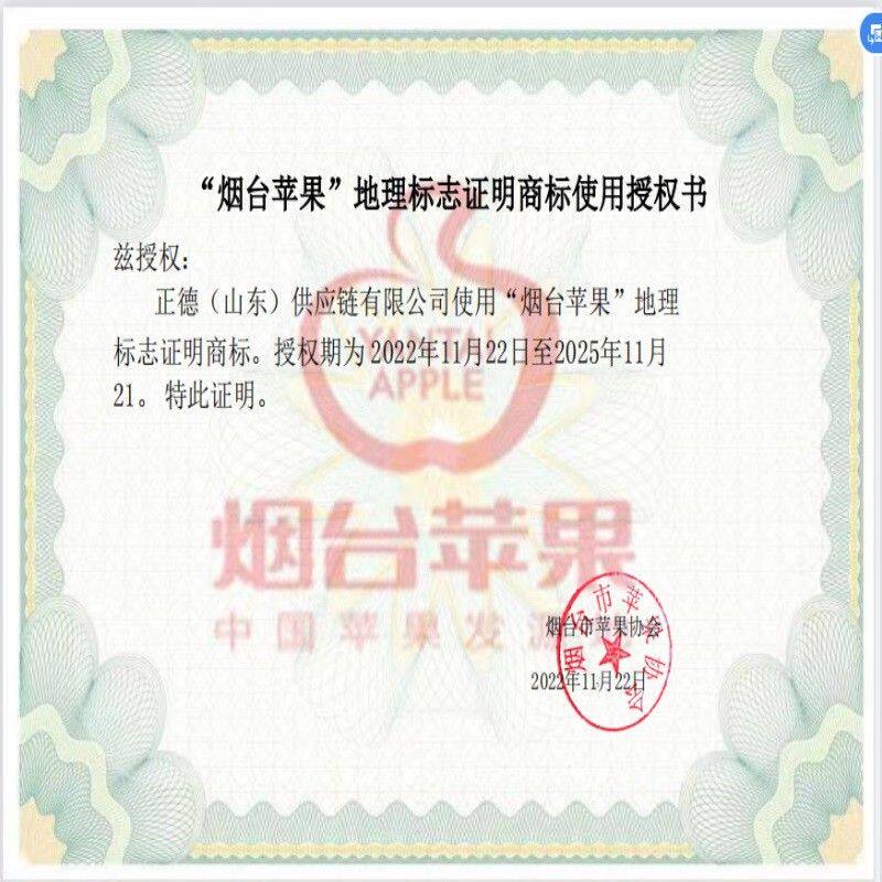 【脆甜多汁】山东烟台奶油富士苹果 皮薄肉厚 新鲜脆甜 5斤