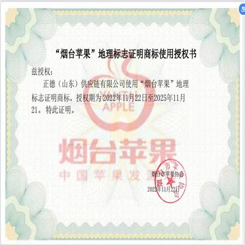 【脆甜多汁】山东烟台奶油富士苹果 皮薄肉厚 新鲜脆甜 5斤