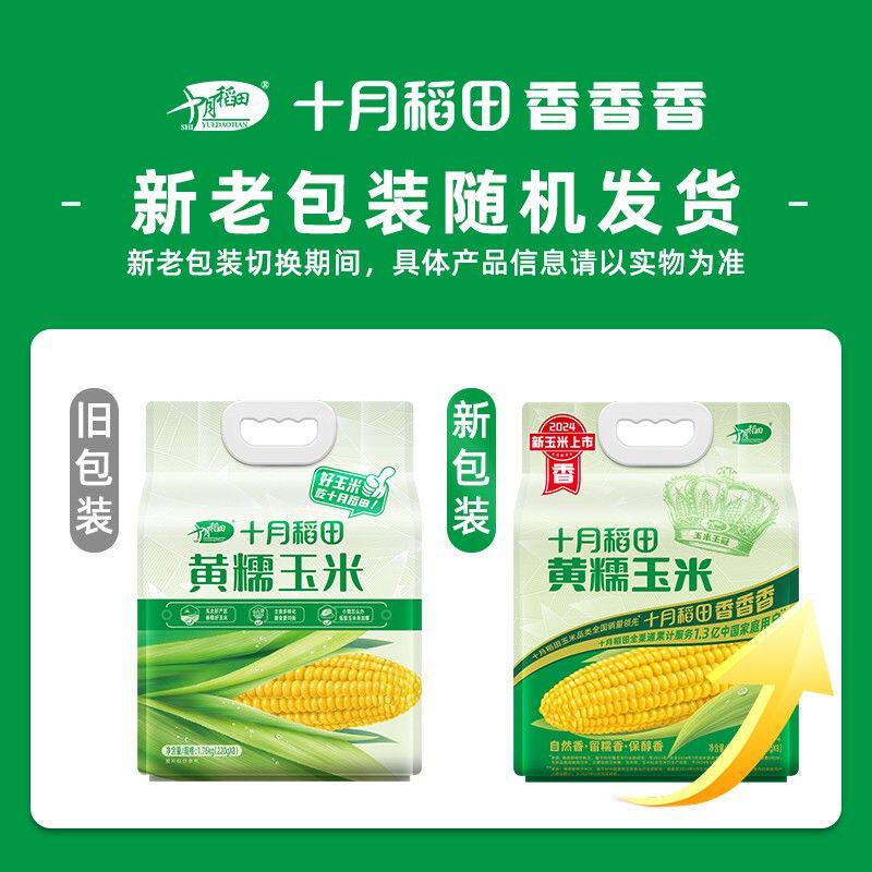 【26年新玉米】低脂粗粮轻食十月稻田黄糯玉米香甜糯东北黏苞米早