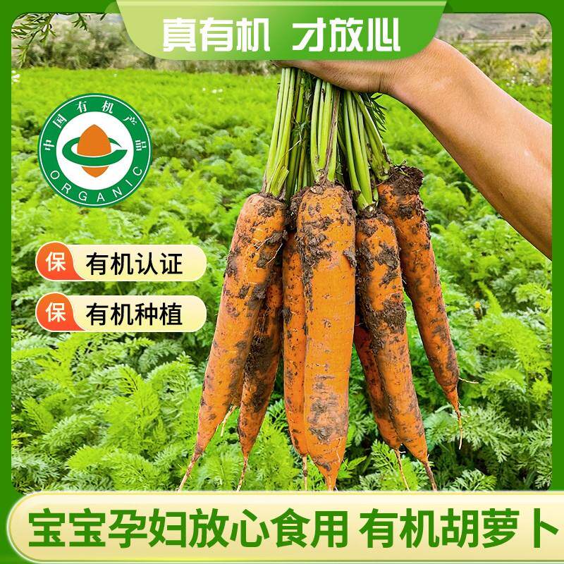 【】内蒙古后窑子有机胡萝卜无农残新鲜带泥3斤/5斤/10斤装