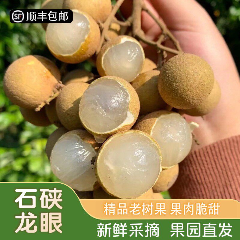 全爸农产品茂名石硖/储良龙眼新鲜龙眼应季水果脆甜可口