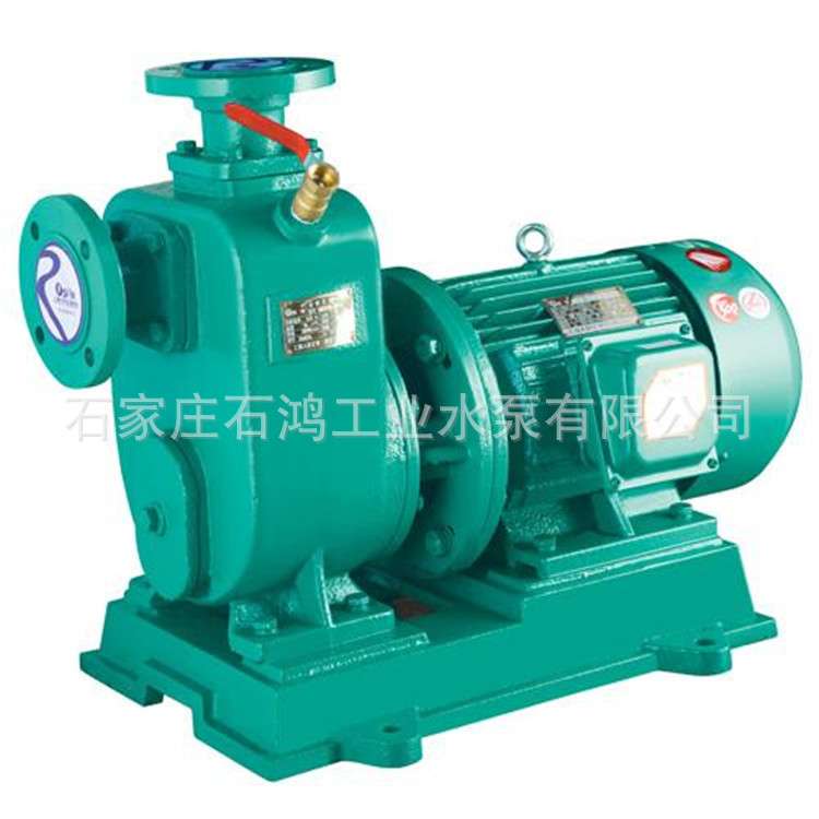 厂家直销 ZW/ZX型自吸无堵塞排污泵 65ZW-25-40 工程污水处理泵