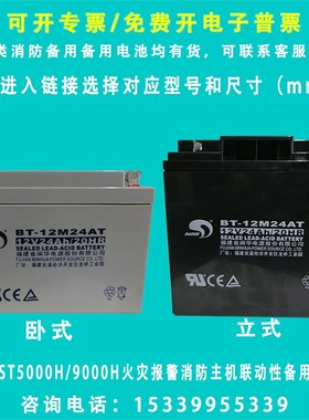 海湾消防主机备用蓄电池海湾GST5000H/GST9000H火灾报警主机电瓶