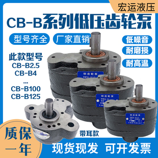 B32 液压齿轮泵 B2.5 B16 B20 B10