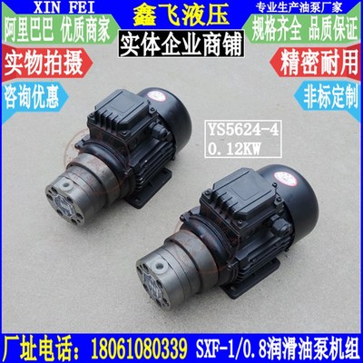 SXF-1/0.8双向供油润滑油泵加电机YS5624-W 120W功率 组合