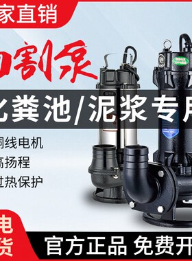 污水泵220V切割式抽粪泥浆小型高扬程大流量双刀直流不锈钢清水泵