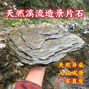 原生态鱼缸造景溪流石页岩片石水族箱装饰溪流缸造景石头乌龟晒台