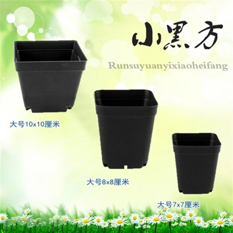 厂家直供多肉种植小黑方塑料花盆花卉绿植托架平盘营养钵育苗杯