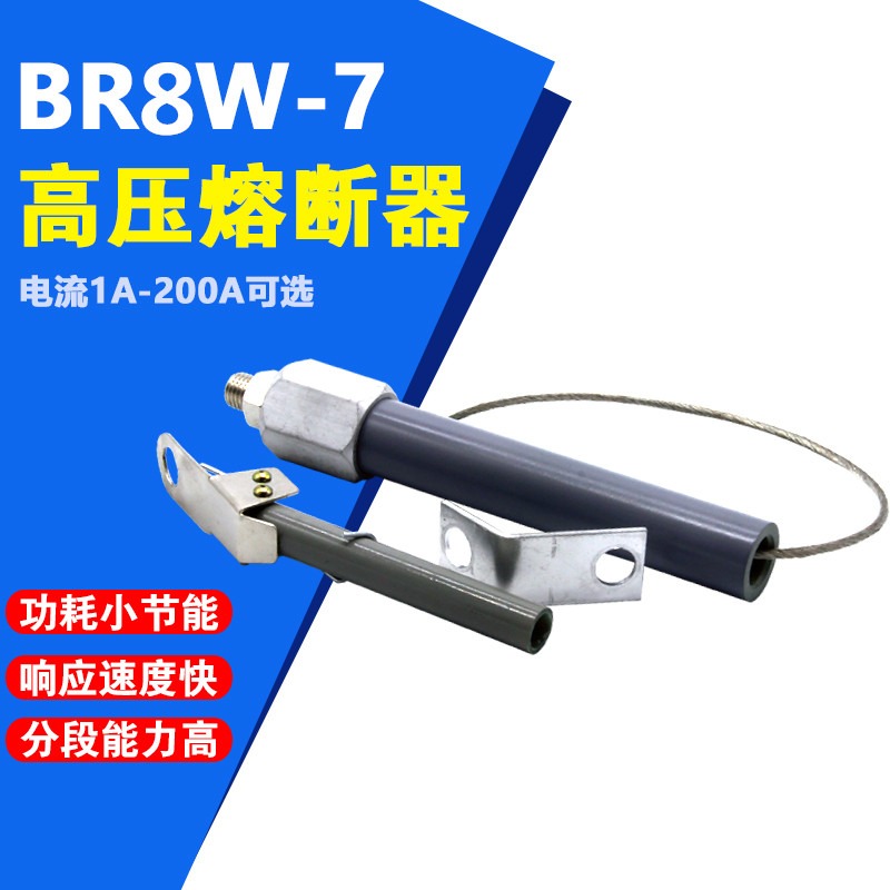 BR8W-7高压限流熔断器50P 10KV电容管电流25A 100A电力保护40 60P