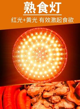 LED超亮生鲜灯猪肉灯卤菜烧腊熟食冷海鲜水果灯地摊照肉灯超市灯