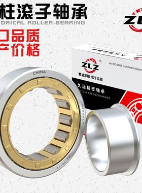 圆柱滚子轴承NJ226 228 230 232 234 236EM