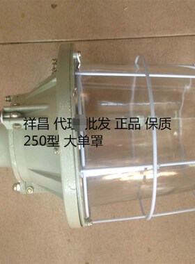 防潮防爆灯隔爆灯罩吊杆座吊钩勾具100W 200W 250W 400W LED灯泡