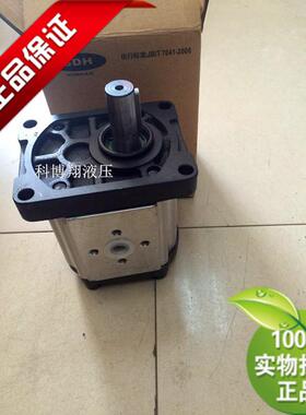 SDH 上海大众液压齿轮泵液压油泵CBTt-F325F3P7/F3P7L油泵齿轮泵