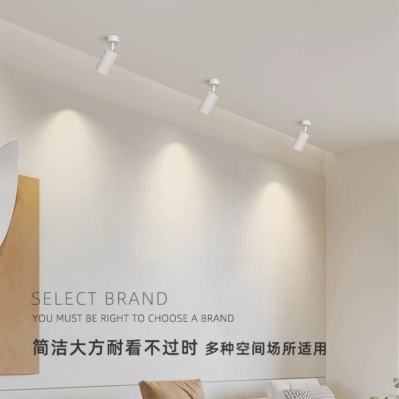led明装射灯防眩可调吸顶式无主灯展厅家用客厅金色万向轨道射灯