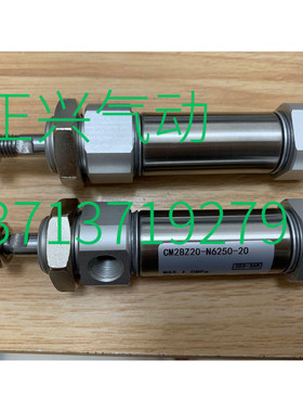 定做非标气缸CM2BZ20-N6250-20  货期2天CM220-TWG269-0020Z