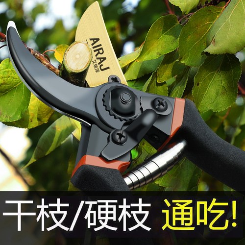 德国家用修枝剪园艺剪刀园林修剪果树修枝专用剪刀花艺修花剪刀